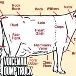 Voicemail Dump Truck 137: The Chicken Rules.mp3