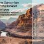 Geologists rewrite textbooks with new insights from Cambrian rocks of Grand Canyon