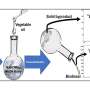 Chemists find easier way to produce biodiesel from waste oil