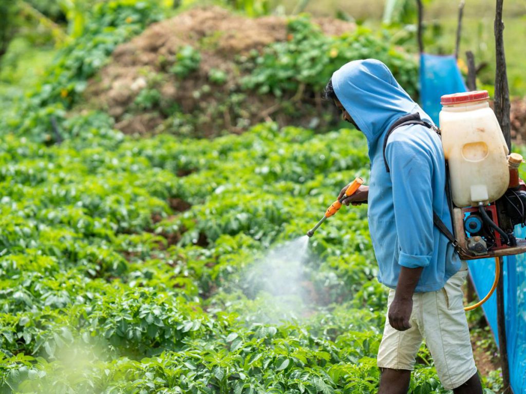 Tumore alla prostata, 22 pesticidi aumentano l&#8217;incidenza: quali sono i più letali