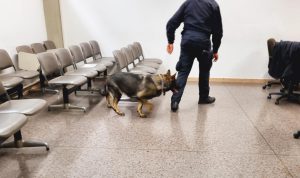 Allarme bomba al tribunale: cosa è successo a Bergamo