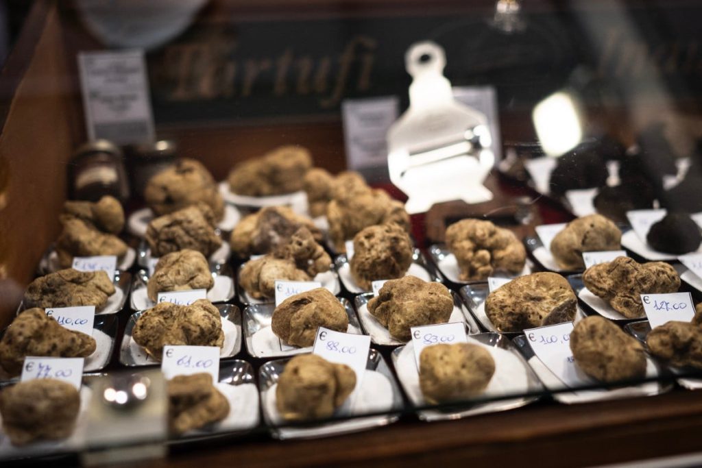 Climate change threatens Italy&#8217;s prized white truffle trade