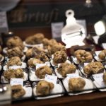 Climate change threatens Italy’s prized white truffle trade