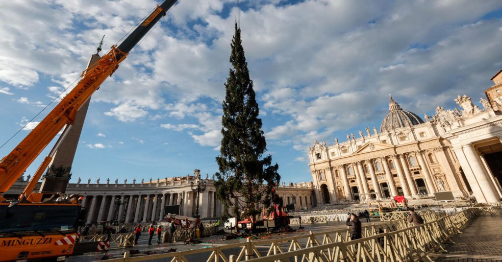 A rischio l’arrivo dell’abete di Natale del Papa: diffida all’abbattimento e petizione da 40mila firme