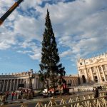 A rischio l’arrivo dell’abete di Natale del Papa: diffida all’abbattimento e petizione da 40mila firme