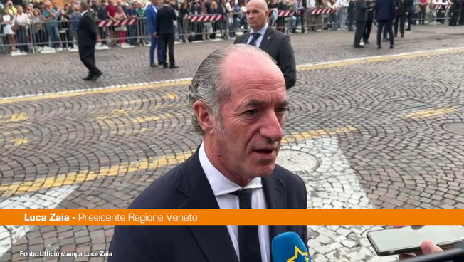 Zaia &#8220;Serve un&#8217;Europa con una maggiore dimensione politica&#8221;