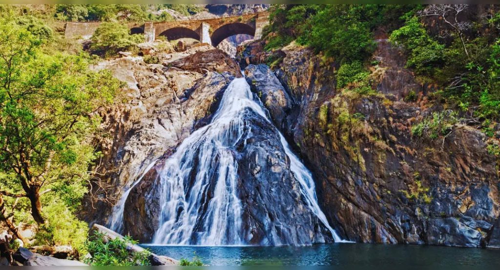 Dudhsagar Waterfall tours finally resume – 5 reasons to include this on your Goa itinerary