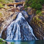 Dudhsagar Waterfall tours finally resume – 5 reasons to include this on your Goa itinerary