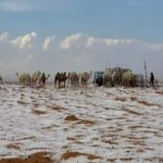 Saudi Arabian desert sees snowfall for the first time in history