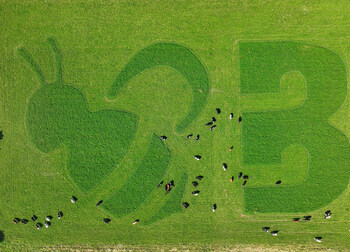 Organic Valley Creates Greenest Ads Grazed by Cows