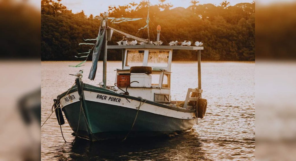 Papikondalu boat services and pilgrim tours restart in Andhra Pradesh