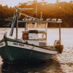 Papikondalu boat services and pilgrim tours restart in Andhra Pradesh