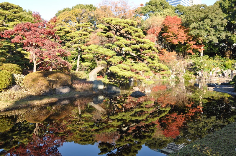 東京・千代田区観光協会、皇居外苑で特別貸切イベント、野点体験など3時間10万円、外国人向け無料ツアーも