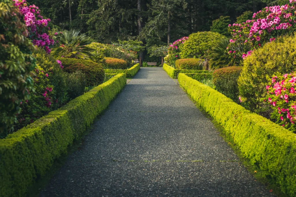 Oltre il Giardino Un'Iniziativa per la Valorizzazione dei Parchi e Giardini Storici