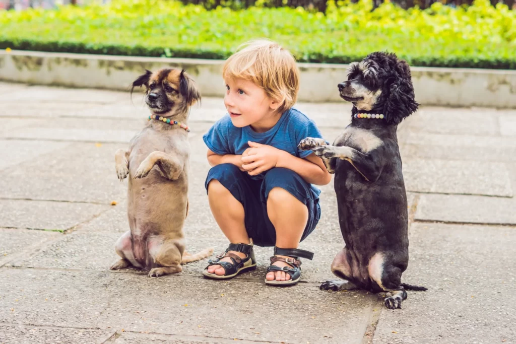 Un pomeriggio magico, bambini e cani in festa a Venaria Reale_1