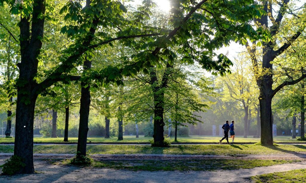 attività aria aperta venaria reale