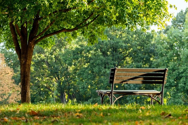 oasi verde urbane