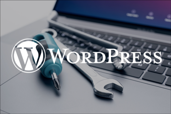 Servizio assistenza e gestione WordPress